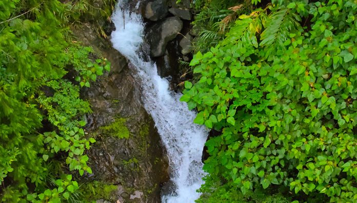 Waterfalls in Infanta, Quezon